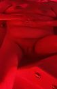 Jacuzzi, foto 1816x2779, 4 reacties, 34 stemmen