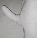 Jawel,, foto 584x600, 1 reacties, 4 stemmen