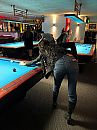 Jeans..... Kan het?, foto 1200x1600, 24 reacties, 123 stemmen