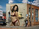 JosIII, A chick on the wall, foto 1400x1050, 3 reacties, 6 stemmen