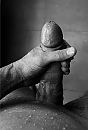 Just horny, foto 1364x2007, 5 reacties, 11 stemmen