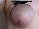 Kan best, toch, foto 631x475, 29 reacties, 74 stemmen