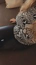 Kan nog net, he!, foto 1154x2048, 11 reacties, 37 stemmen