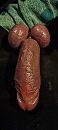 Keihard kloppend, foto 1801x4000, 0 reacties, 2 stemmen