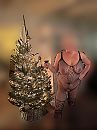 Kerst 2024, foto 3000x4000, 4 reacties, 31 stemmen