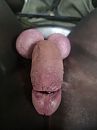 Knoeperd hard en kloppend., foto 720x960, 0 reacties, 1 stemmen
