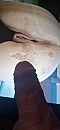 Kont, foto 1848x4000, 2 reacties, 2 stemmen