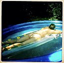 Kont, foto 750x745, 7 reacties, 55 stemmen