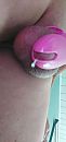Kooi lekt, foto 762x1600, 0 reacties, 1 stemmen