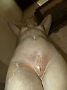Kunst met een 'grote' K?, foto 1920x2560, 2 reacties, 9 stemmen