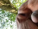 Kutje is er klaar voor, film 00:00:21, 3 reacties, 15 stemmen