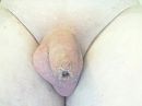 Langzaam...., foto 640x480, 1 reacties, 1 stemmen