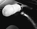 Latex geil....., foto 1600x1272, 0 reacties, 4 stemmen