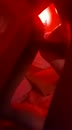 Lekker doggy, film 00:00:07, 15 reacties, 112 stemmen