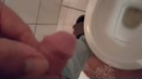 Lekker plassen, film 00:00:25, 6 reacties, 6 stemmen