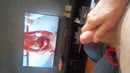 Lekker strap-on filmpje, film 00:00:27, 4 reacties, 8 stemmen