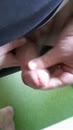 Lekker trekken en spuiten, film 00:00:29, 6 reacties, 13 stemmen
