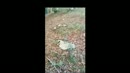 Gratis porno films