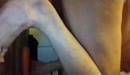 Gratis porno films