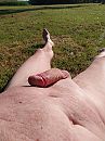Lekker buiten, foto 3000x4000, 6 reacties, 18 stemmen
