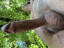 Lekker buiten, foto 4000x3000, 2 reacties, 11 stemmen