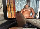 Lekker geil, foto 4000x3000, 2 reacties, 3 stemmen