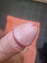 Lekker hard, foto 3000x4000, 2 reacties, 4 stemmen