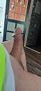 Lekker hard, foto 1844x4000, 4 reacties, 5 stemmen