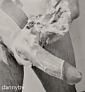 Lekker scheren,, foto 1078x1151, 0 reacties, 3 stemmen
