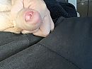 Lekker spelen, foto 4000x3000, 0 reacties, 1 stemmen