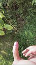 Lekker stijf weer buiten, foto 750x1334, 3 reacties, 15 stemmen