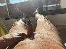 Lekker warm, foto 4000x3000, 1 reacties, 2 stemmen