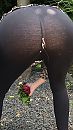 Lekker wat tuinierenxxxtam, foto 1242x2208, 31 reacties, 113 stemmen