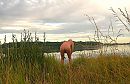 Lekker weer , lekker bloot., foto 2658x1731, 1 reacties, 7 stemmen