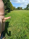 Lekker weer in de Ardennen, foto 3000x4000, 1 reacties, 2 stemmen