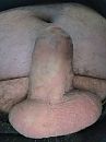 Lekker2, foto 1980x2640, 2 reacties, 5 stemmen