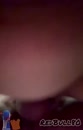 Lekker, film 00:00:00, 12 reacties, 64 stemmen