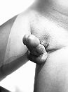 Lekkere kale toy .., foto 2316x3088, 0 reacties, 0 stemmen
