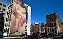 Lelylijn, on the wall, foto 1200x760, 2 reacties, 9 stemmen