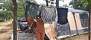 Let's prevent " dirty laundry", foto 4000x1800, 12 reacties, 80 stemmen