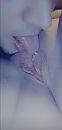 Likken, foto 850x1774, 2 reacties, 18 stemmen