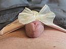 Lingeriesub, foto 960x720, 1 reacties, 6 stemmen