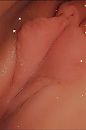 Lipjes, foto 1179x1763, 78 reacties, 188 stemmen