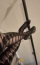 Little black dress, foto 2048x3264, 1 reacties, 1 stemmen
