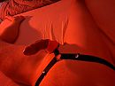 Live, foto 4000x3000, 1 reacties, 7 stemmen