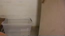 MET DE DEUR IN HUIS POMPEN, film 00:00:00, 2 reacties, 8 stemmen