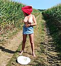 Maisveld, foto 666x718, 22 reacties, 82 stemmen