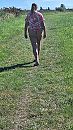 Makkum, foto 1148x2040, 1 reacties, 13 stemmen