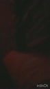 Me laten neuken tijdens pornox, film 00:00:00, 29 reacties, 131 stemmen
