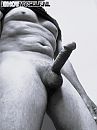 Met de kop omhoog., foto 412x550, 1 reacties, 3 stemmen